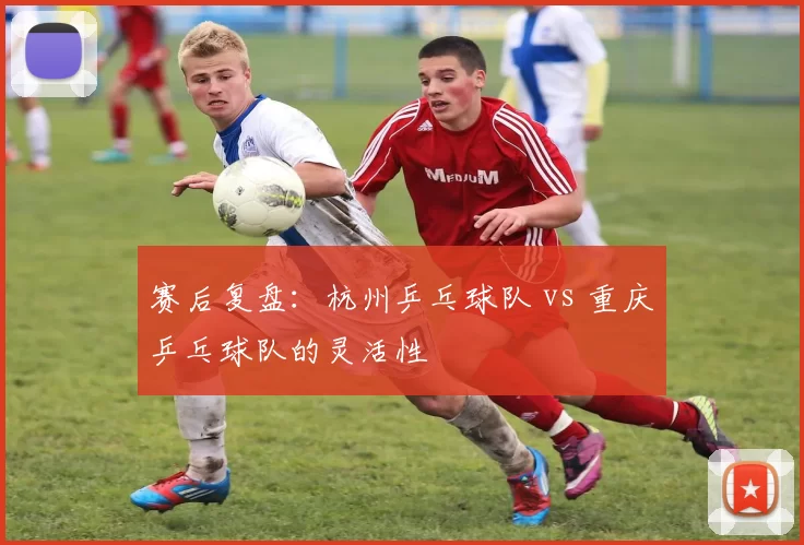 赛后复盘：杭州乒乓球队 vs 重庆乒乓球队的灵活性