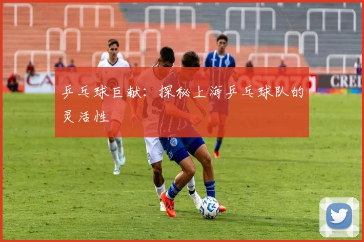 乒乓球巨献：探秘上海乒乓球队的灵活性