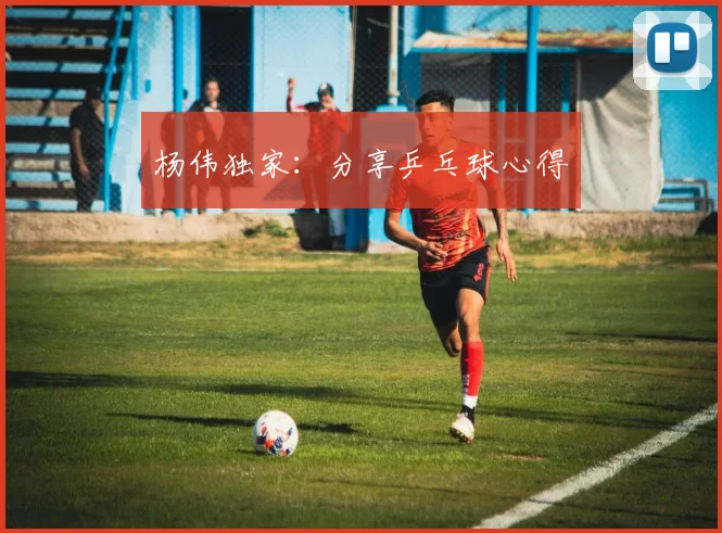 杨伟独家：分享乒乓球心得