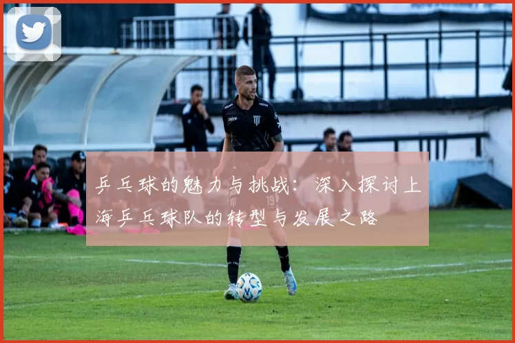 乒乓球的魅力与挑战：深入探讨上海乒乓球队的转型与发展之路